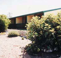 The Fig Tree Bed  Breakfast - Accommodation in Brisbane