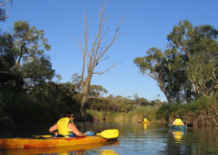 Pike River Woolshed - Accommodation in Brisbane 3