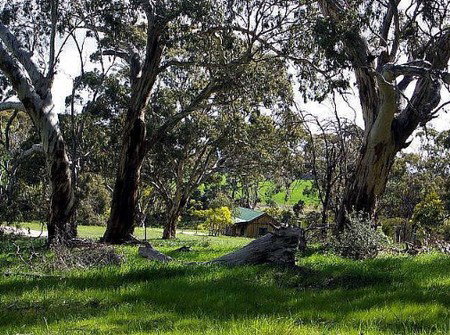 Wuthering Heights - Bronte Manor - Accommodation in Brisbane 3