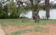 Roonka Riverfront Cottages - thumb 1