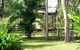 Virginia Heliconia Farm - thumb 3