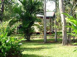 Virginia Heliconia Farm - Accommodation in Brisbane 3