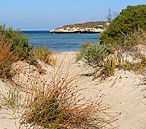 Marion Bay Caravan Park - Accommodation in Brisbane 5