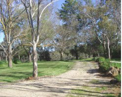 Kooringal Homestead - Accommodation in Brisbane 2