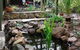 Kooringal Homestead - thumb 6