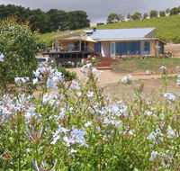 The Blue Grape Vineyard Accommodation - Accommodation in Brisbane