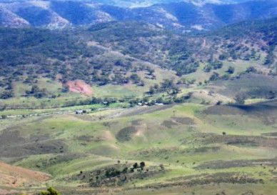 Old Willows Country Estate - Accommodation in Brisbane 1