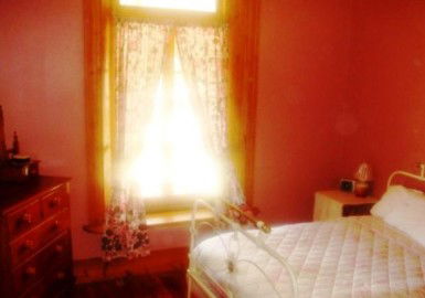 Old Willows Country Estate - Accommodation in Brisbane 3