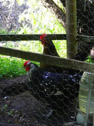 Norma's Place - Accommodation in Brisbane 0