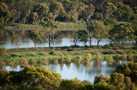 Riverview Rise Retreats - Accommodation in Brisbane 4