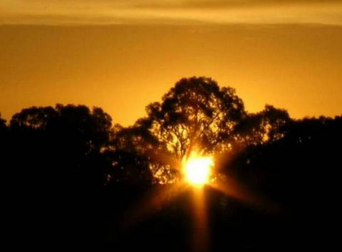 Linfield Cottage - Accommodation in Brisbane 1