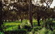 Mount Charmal Bed And Breakfast - thumb 1