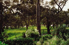 Mount Charmal Bed And Breakfast - Accommodation in Brisbane 1