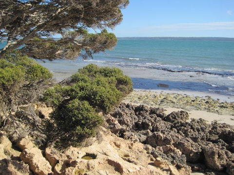 Wallaby Beach House - Accommodation in Brisbane 4
