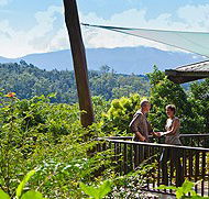 Rose Gums Wilderness Retreat - Accommodation in Brisbane