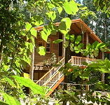 Rivers Edge Rainforest Retreat - Accommodation in Brisbane