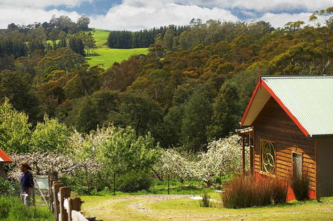 Elvenhome Farm Cottage - Accommodation in Brisbane 5