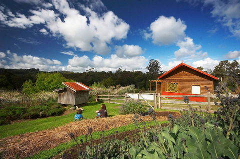 Elvenhome Farm Cottage - Accommodation in Brisbane 6