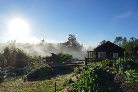Elvenhome Farm Cottage - Accommodation in Brisbane 9