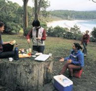Fortescue Bay Camping Ground - Accommodation in Brisbane