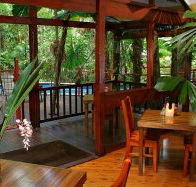Daintree Wilderness Lodge - Accommodation in Brisbane