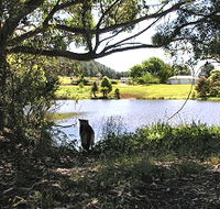 Newry Park Cottage - Accommodation in Brisbane