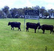 Cluan Homestead - The Managers Residence - Accommodation in Brisbane