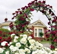 Golden Embers Apartments and B and B - Accommodation in Brisbane