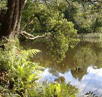 Weldborough Camping Ground