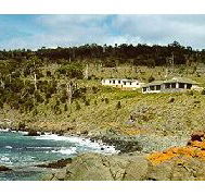 Kabuki by the Sea - Accommodation in Brisbane