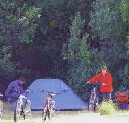 Maria Island Camping Ground - Accommodation in Brisbane