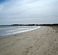 Greens Beach Caravan Park - Accommodation in Brisbane