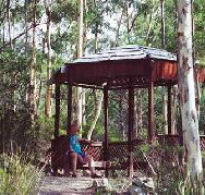 Telopea - Accommodation in Brisbane