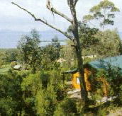 Partridge Farm - Accommodation in Brisbane