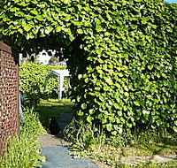 Kirra Guest House - Accommodation in Brisbane