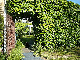 Kirra Guest House - Accommodation in Brisbane 0