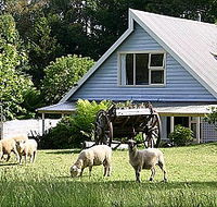 Hide-Away Cottage Retreat - Accommodation in Brisbane