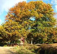 Red Rooster Host Farm - Accommodation in Brisbane