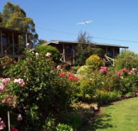 Mole Creek Holiday Village - Accommodation in Brisbane