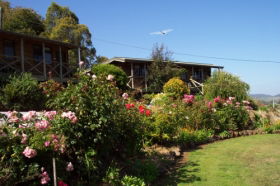 Mole Creek Holiday Village - Accommodation in Brisbane 0