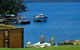Hobart Airport Tourist Park - thumb 2