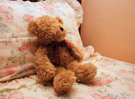 Laurel Cottage - Accommodation in Brisbane 4