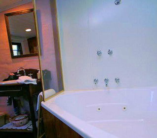 Hollyhock Cottage - Accommodation in Brisbane 3