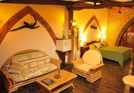 Cedar Park Rainforest Resort - Accommodation in Brisbane 0