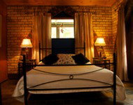 Cedar Park Rainforest Resort - Accommodation in Brisbane 3