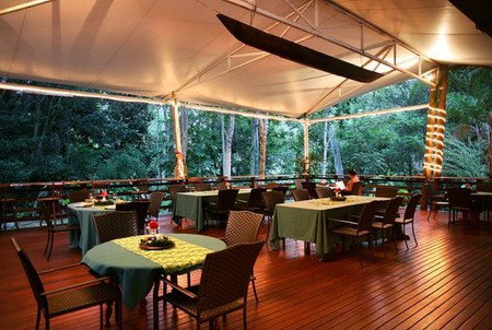 Cedar Park Rainforest Resort - Accommodation in Brisbane 5