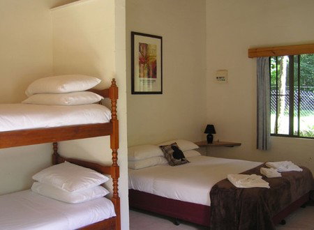 Lync-Haven Rainforest Retreat - Accommodation in Brisbane 1