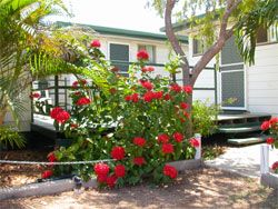Gee Dees Family Cabins - Accommodation in Brisbane 2
