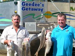 Gee Dees Family Cabins - Accommodation in Brisbane 4