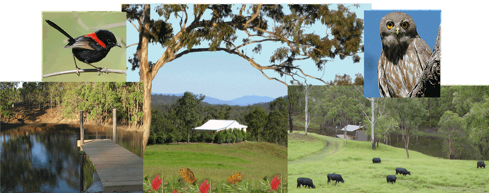 Kairi QLD Accommodation in Brisbane